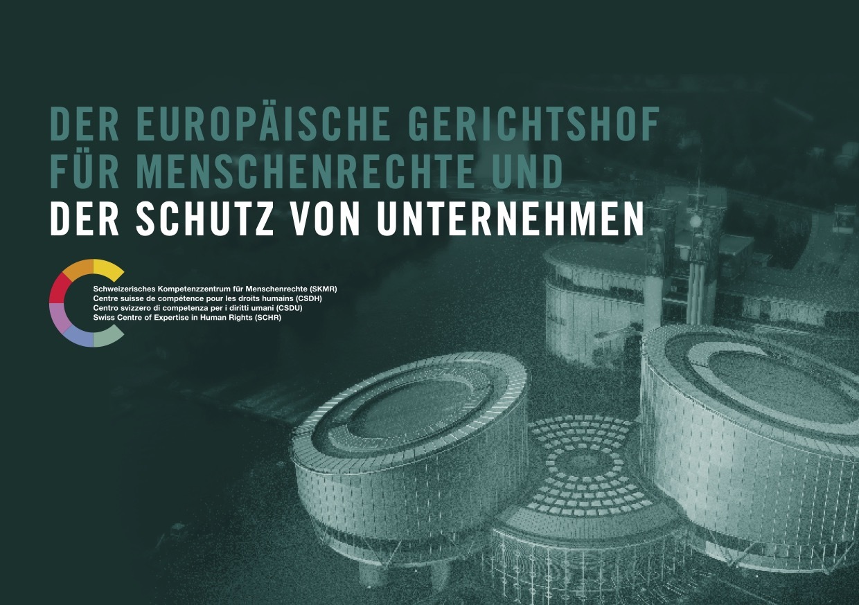 171107 EGMR Factsheet Unternehmen DE