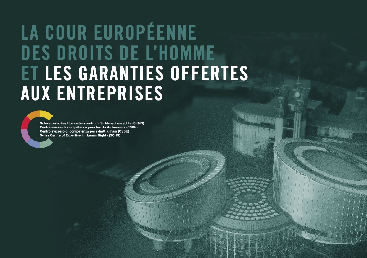 171107 Brochure Cour EDH entreprises