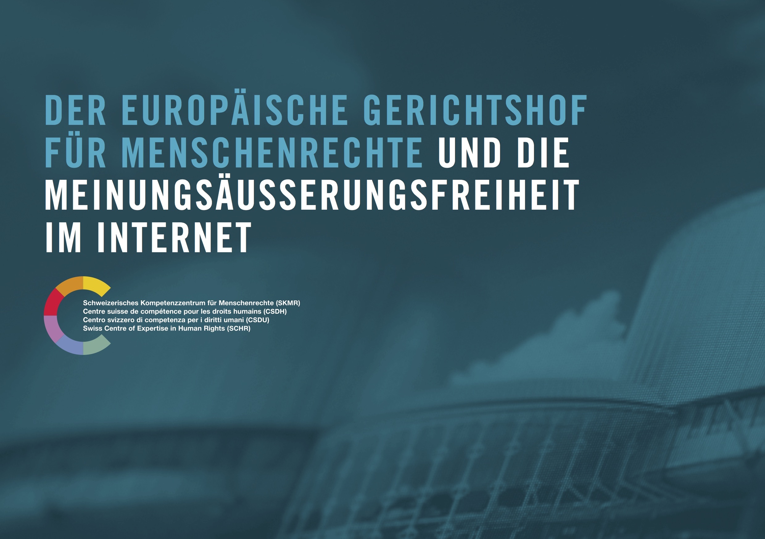 Cover 200813 EGMR Meinungsaeusserungsfreiheit Internet
